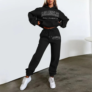 Otoño Invierno nueva mujer letra impresa polar sudadera suelta Casual conjunto versátil cómodo Streetwear moda - Product Image 3