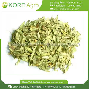 Indian Exporter of High Grade Senna Pods and <b>Leaves</b> at Wholesale Price - Product Image 2