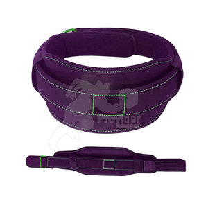 2025 soutien de taille en néoprène pour hommes Offre Spéciale de ceinture de levage réglable et respirant de haute qualité pour l'haltérophilie - Product Image 1
