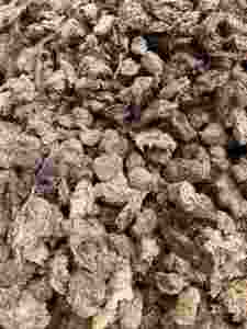 Turba Sphagnum de origen BALTICO de Letonia directo de fabrica para grandes contenedores para plantas Arboles Arbustos Tierra - Product Image 1