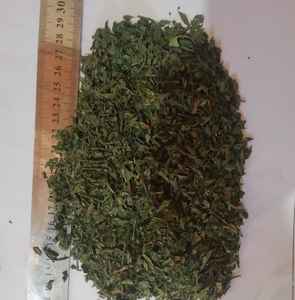 Nueva Producción de Hojas de Semillas de Menta Secas con Certificación ISO, Especias Individuales, Hierbas de Egipto, AD Premium, Cosecha Más Reciente, Sabor Natural, Crudo - Product Image 2