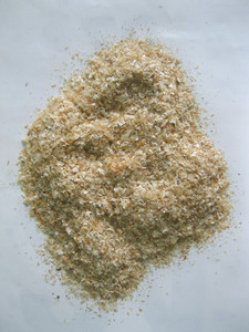 เปลือกหอยปูจากทะเล13ซม. ราคาถูก - Product Image 3