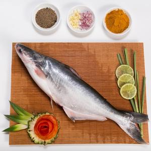 Pangasius entero congelado sin fosfato más vendido de Vietnam 10Kg a granel 24 meses de vida útil Basa Seafood Export - Product Image 1