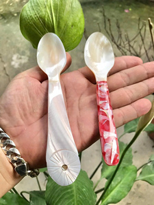 Belle cuillère en coquillage pour décor d'été et service de fête idéale pour le sel, le sucre et les petits condiments - Product Image 3