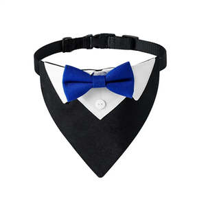 Accessoire de costume pour chien, faux collier, nœud papillon - pour occasions spéciales - Product Image 2