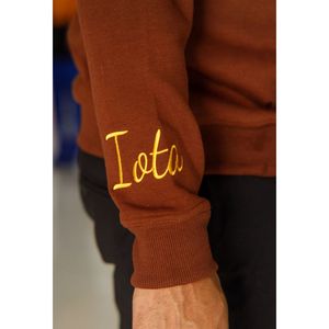 HBCU Iota Chenille sudadera bordada letras educadas fraternidad griega ropa clásica cuello redondo polar pulóver - Product Image 6