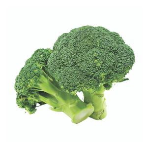 Brócoli Fresco de Primera Calidad a Precio de Mayoreo, Verduras de Brócoli Verde Fresco - Product Image 3