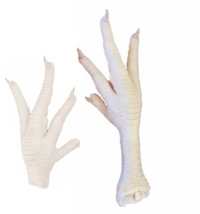 Pattes de poulet surgelées en vrac, disponibles pour un stock constant et une expédition régulière. - Product Image 1