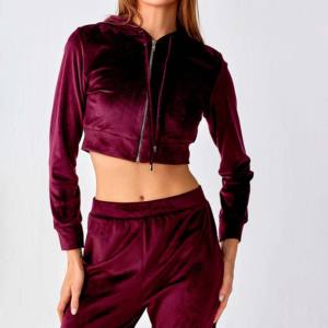 Custom Fall Clothing <b>Winter</b> Cotton Velour Crop Tops Hoodies Women Velour <b>Tracksuits</b> Velvet Jogging Ladies 2 Piece Set <b>for</b> Girl - Product Image 5