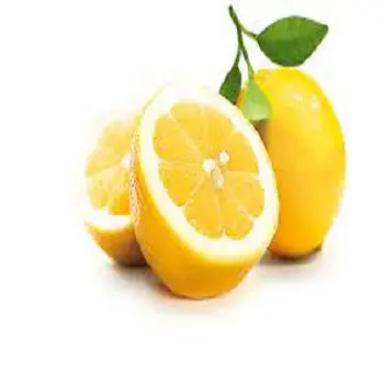 Grosir Lemon Hijau Segar Kualitas Kaya dengan Harga Grosir