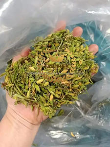 TAKIMEX 100% FLOR DE PAPAYA MACHO SECA NATURAL MUY ALTA CALIDAD MEJOR PROVEEDOR DE VIETNAM - Product Image 5