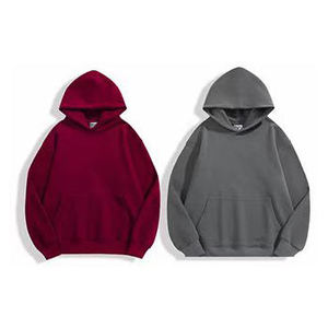 Bordado personalizado Impresión digital 500gsm Sudadera con capucha de invierno 100% Algodón Poliéster Sólido para hombres Mujeres Hecho Lienzo Personalizado en blanco Polar - Product Image 2