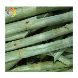 IQF Frozen Sugarcane <b>Sticks</b> for Juice, Natural Frozen Sugarcane Ready to Press for Beverage Production, Frozen Sugarcane Juice - Product Image 2