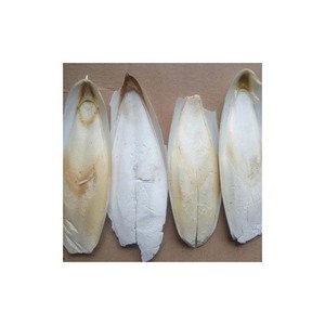 กระดูกปลาหมึกที่ปลอดภัยและเป็นธรรมชาติสำหรับนกสัตว์เลี้ยง - Product Image 6