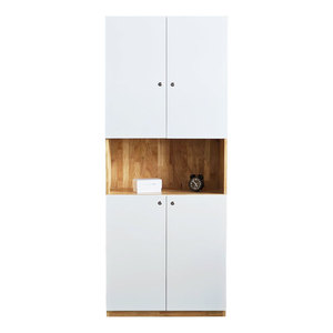 2-Door Rubber Wood <b>Metal</b> File <b>Cabinet</b> 80x40x220cm <b>Lockable</b> & Adjustable Modern Minimalist Design for Workshops THS68011 - Product Image 1