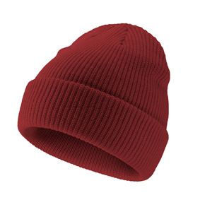 Fisherman Cable Beanie Heavy Cable Rib Knit Fil acrylique Replier l'ourlet Intérieur chaud Vintage Workwear Esthétique Extérieur Utilisation à froid - Product Image 1