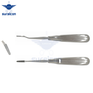 Haute qualité en acier inoxydable rongeur molaire râpe élévateur à dents manuel droit incurvé extraction des dents lève-racine pour vétérinaire - Product Image 2