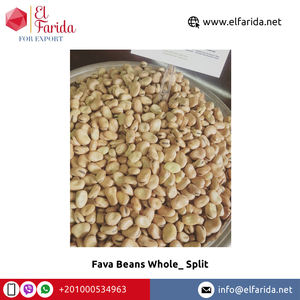 Egypt Origin Premium Grade Kidney and Fava <b>Beans</b> Good Quality Whole Split <b>for</b> Sale Competitive Price Bulk Packaging Exporter - Product Image 3