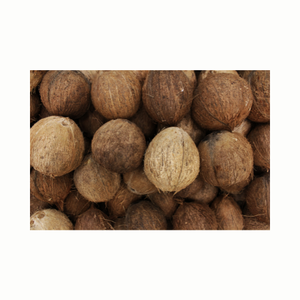 Cuenco de coco natural de Vietnam, mitades de cáscara de coco para comedero de mascotas y fabricante de velas, tendencia caliente 2024 - Product Image 5