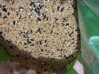 Graines de canaris naturelles écologiques de qualité supérieure pour canaris, pinsons et perruches Sacs de 25 à 50 kg
