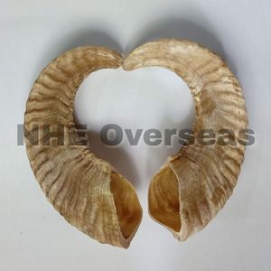 Masticables naturales para perros Ram Horn Premium Strong Healthy Safe Durable Bones de larga duración para la dentición de cachorros y la salud dental - Product Image 1