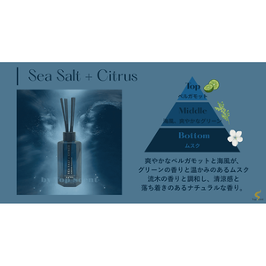 Sea Salt & Citrus Air Freshener Premium Scented Home & Office Decor - Product Image 3