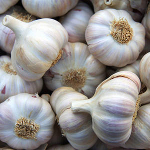 Prix d'ail frais blanc pur de haute qualité/ail en vrac à vendre/ail de Chine Top épices simples - Product Image 6