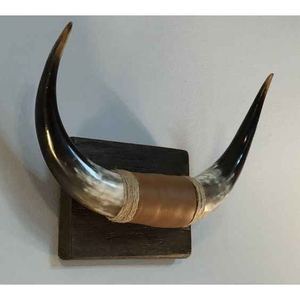 Cuerno de búfalo artesanal Premium, montaje en pared, artesanía Natural pulida para cuerno de vaca náutico, tema Animal DE LA India, decoración del hogar - Product Image 6