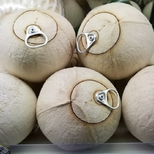 Coco pulido LISTO ABIERTO | Agua dulce natural | Alto valor visual para la exhibición minorista coreana - Product Image 2