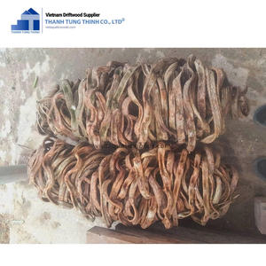 Driftwood acuario natural y raíces de manglar decoración de acuario al por mayor fabricada en Vietnam - Product Image 6