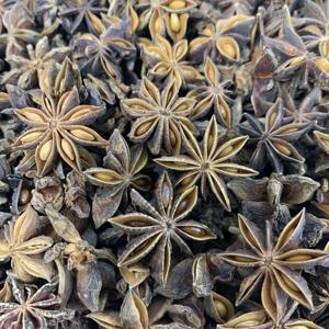 Anís estrellado seco de alta calidad (anís estrellado vietnamita de primavera) Hierba y especias individuales - Product Image 3