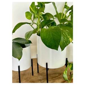 Jardinières à forte demande fabriquées en Inde pour l'extérieur Jardinières à plantes modernes sur mesure de haute qualité - Product Image 4