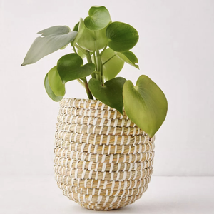 Cesta de maceta para suelo de algas marinas para decoración del hogar hecha de algas marinas naturales de Vietnam por Viet Fargimex - Product Image 4