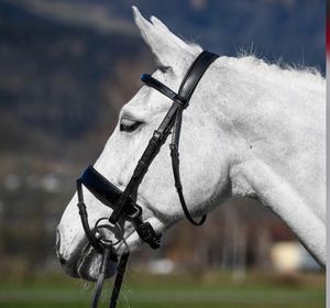 Brida de cuero de snaffle de caballo de alta calidad en mazorca de brida de snaffle de charol marrón - Product Image 1
