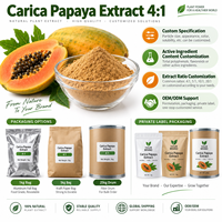 Poudre d'extrait de papaye LongBio Carica 4:1, extrait naturel de plante de papaye pour compléments alimentaires et boissons, OEM ODM