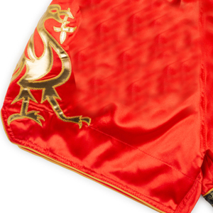 Shorts de Boxeo Tailandés al por Mayor, 100% Poliéster, Shorts de Boxeo para Niños, Entrenamiento de Kickboxing, Diseño y Logotipo Personalizados, Shorts de Muay Thai, Shorts de MMA - Product Image 2