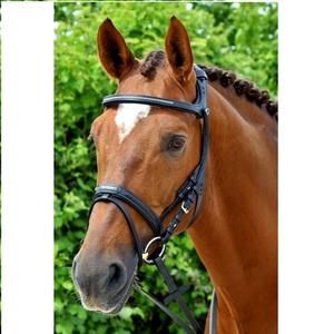 Brida de caballo de alta calidad al por mayor accesorio de montar de cuero de estilo occidental producto del fabricante superior - Product Image 5