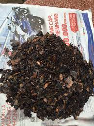 Coquille de noix de cajou du Vietnam de haute qualité extraite meilleur prix produit de déchets agricoles - Product Image 4