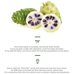 Emulsión de Colágeno Noni, Tónico Hidratante, Nutritivo, Cuidado de la Piel Coreano, Belleza, Pdrn, Vegano, OBM para Mujeres - Product Image 4