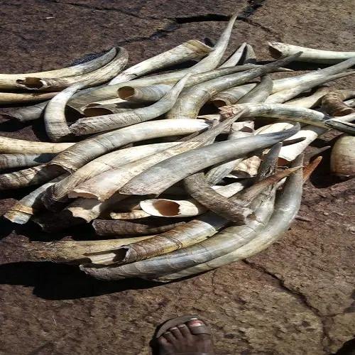 สีธรรมชาติ