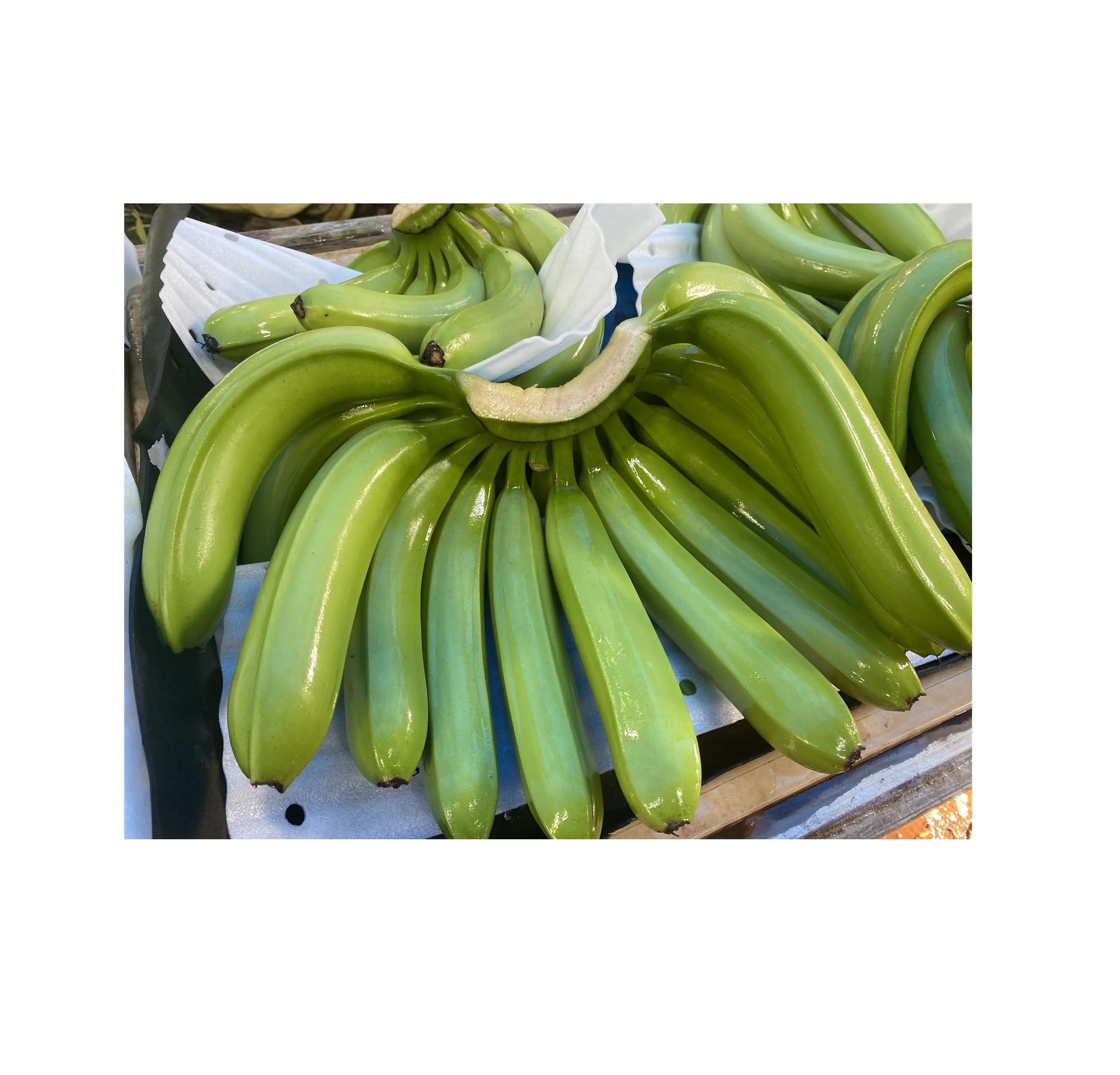 Neue Ernte Werkspreis natürliche frische Banane Cavendish vom Lieferanten Vietnam natürliche Farbe süßer Geschmack whatsapp 0084587176063