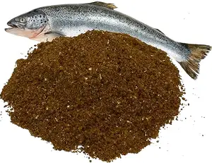 Farine de poisson pour volaille et additifs alimentaires pour animaux à haute teneur en protéines à partir de 60% farine de poisson nutrition totale poudre de poisson