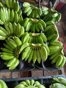 Banane congelée à prix abordable du fournisseur vietnamien fiable de bananes IQF - Product Image 2