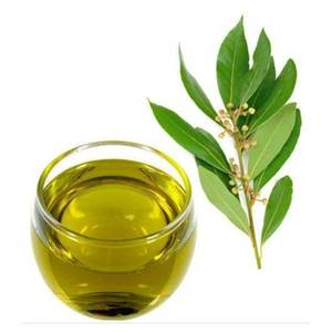 Aceite de Sugandh Mantri natural 100% disponible en el mejor y precios competitivos tamaño de paquete disponible 25kgs y 180kgs - Product Image 1