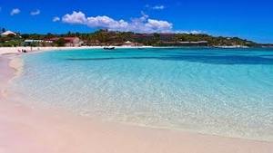 Projets de meubles sur mesure longs en hêtre Bûches de bois de qualité à prix compétitif pour l'artisanat - Product Image 4