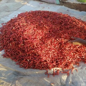 Offre Spéciale en gros naturel exportation piment rouge épicé chaud piment séché approvisionnement d'usine en stock livraison rapide - Product Image 6