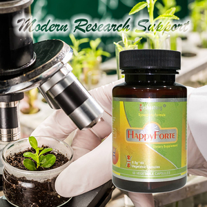 HappyForte 12 ans Flux d'énergie optimisé Capsules de suppléments à base de plantes conçues pour les adultes - Product Image 3
