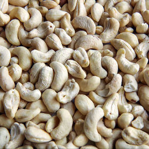 เม็ดมะม่วงหิมพานต์ออร์แกนิคพรีเมียมแบบดิบขาย - Product Image 1