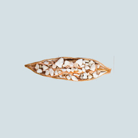 Graines de baobab 100% Pure Premium, huile de baobab, poudre de baobab et fruit de baobab provenant de ressources directes