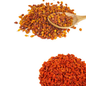 ผลเบอร์รี่ทะเล buckthorn แห้ง | บรรจุภัณฑ์ที่ปลอดภัยสำหรับการจัดส่งระหว่างประเทศ - Product Image 4